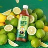 兰芳园 低糖鸭屎香冻柠茶500ml*15 商品缩略图1