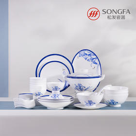 38头鸢尾芳华餐具