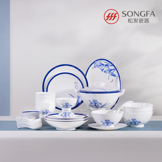 38头鸢尾芳华餐具 商品图0