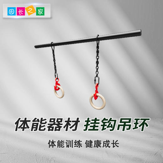 体能器材挂钩吊环 商品图0