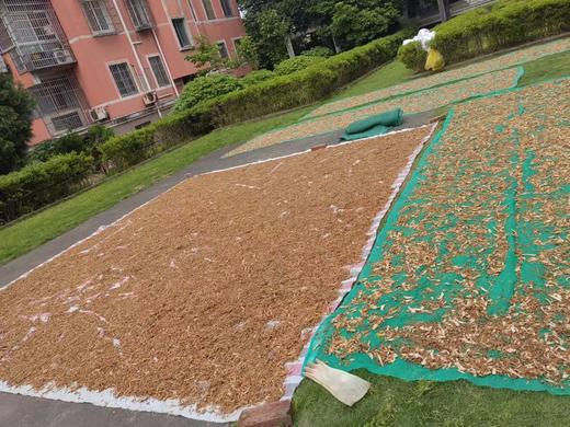 农家笋干菜500克 商品图1