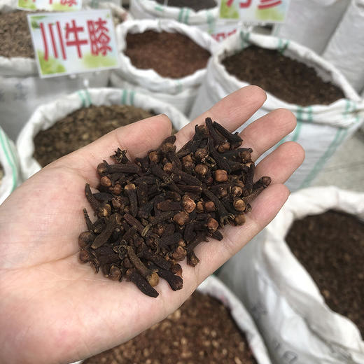 丁香  常用规格 公丁香 香料药材 商品图4