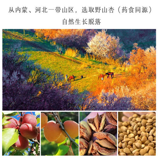 有机杏仁粉200g/罐 商品图5