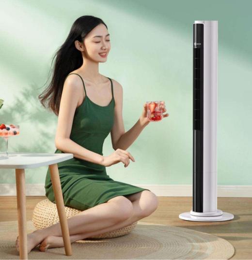 美菱（MeLng）塔扇（遥控款） MPF-LC0452 商品图0