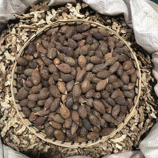 胖大海 商品图2