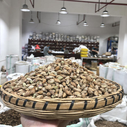 苍耳子 常用规格 生苍耳子 商品图1
