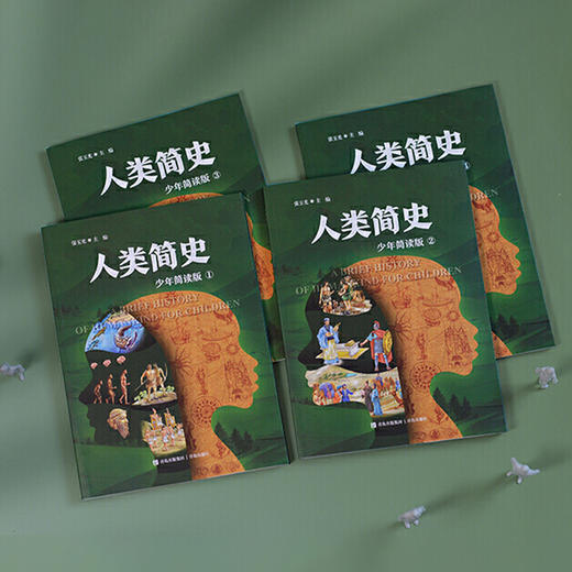 “少年简读简史”系列：《人类简史》（全4册） 商品图11