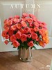 多头玫瑰 | 橙红果汁 商品缩略图0