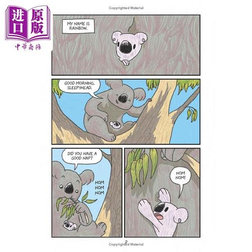 【中商原版】桥梁漫画 野外生存小考拉彩虹 Surviving the Wild Rainbow the Koala英文原版 儿童图画图像小说 动物漫画故事 商品图4