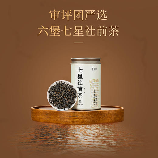 懂茶帝﹣六堡茶韦洁群传统工艺制作2021年七星社前六堡50g／罐 商品图0