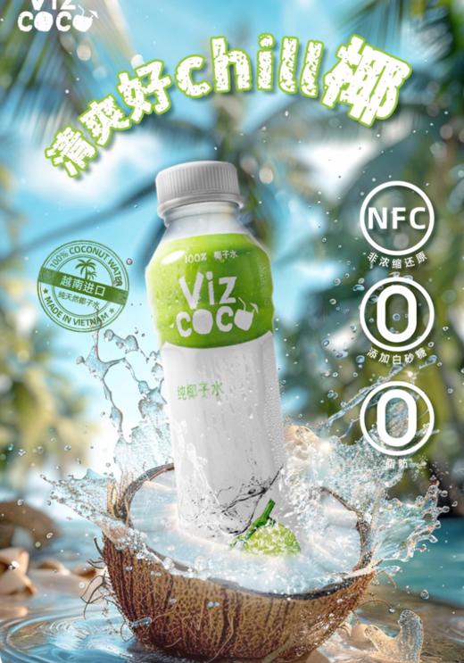 越南进口 Vizcoco100%椰子水富含天然电解质NFC椰青椰汁450ml 商品图2
