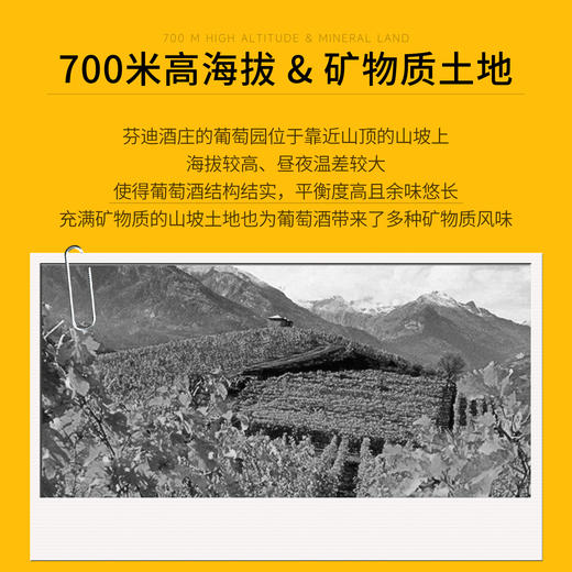 【意大利顶奢品牌FENDI】芬迪家族 卡萨布兰卡 干型葡萄酒   翁布里亚产区 15%vol 商品图6
