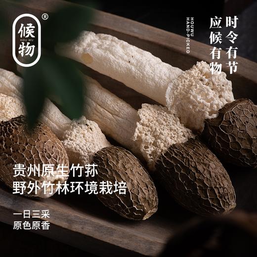 候物黑帽竹荪|来自“中国竹荪之乡”，拒绝熏硫，肉肥脆嫩爽口 商品图5