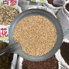 浮小麦 常用规格 小麦米 商品缩略图3