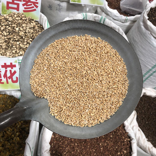浮小麦 常用规格 小麦米 商品图3