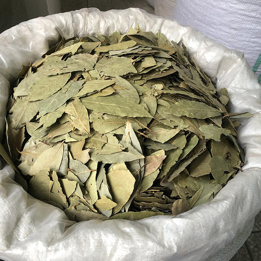 香叶 特级特绿 可做香料 商品图1