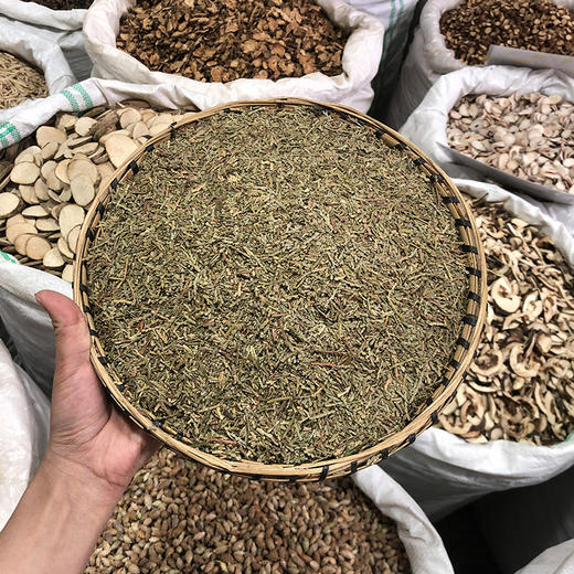 侧柏叶 商品图0