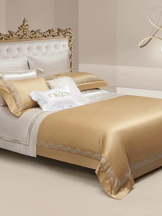 ROYALCOVER罗卡芙家纺埃及长绒棉欧式提花床品四件套（布莱曼810422332） 商品图0