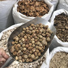 草豆蔻 草蔻颗粒 中大颗粒 商品缩略图3