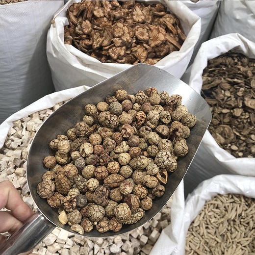 草豆蔻 草蔻颗粒 中大颗粒 商品图3