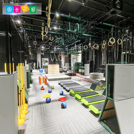 体能器材木制吊环 商品图3