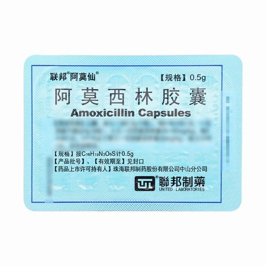 联邦,阿莫西林胶囊 【0.5g*12粒】 珠海联邦 商品图4