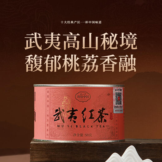 正山堂 武夷红茶 骏眉中国产区茶桃荔香正宗武夷山小种红茶冷泡茶 商品图1