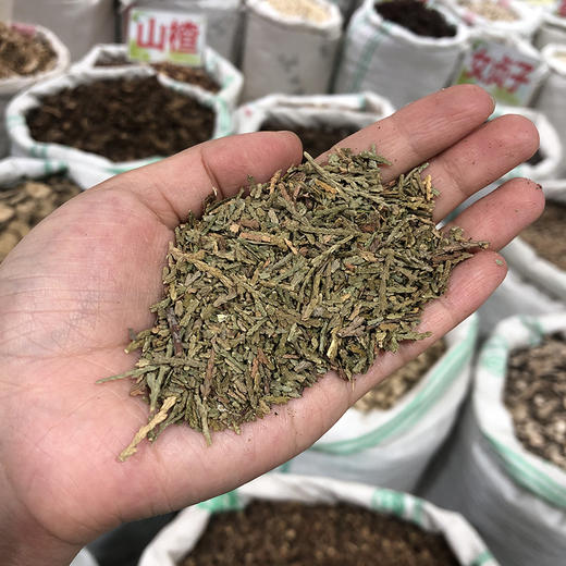 侧柏叶 商品图3