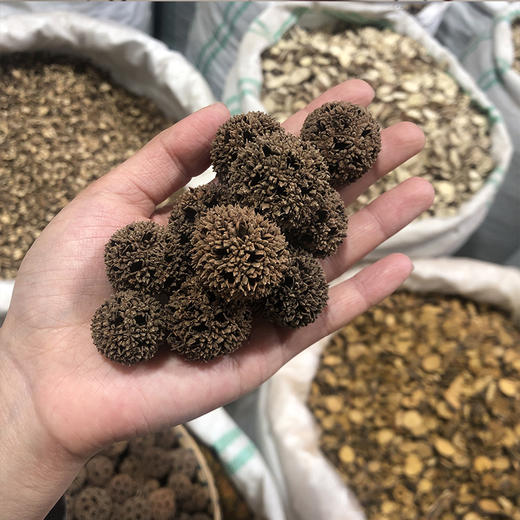 路路通 云南野生路路通 商品图4