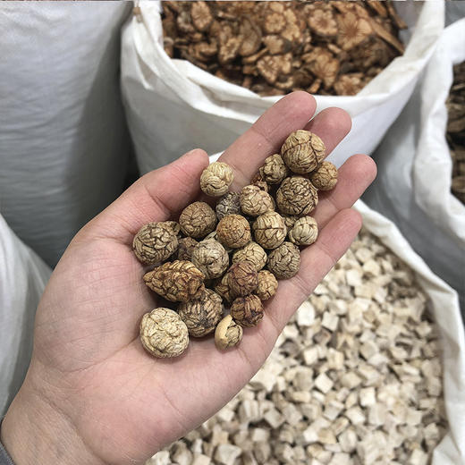 草豆蔻 草蔻颗粒 中大颗粒 商品图4