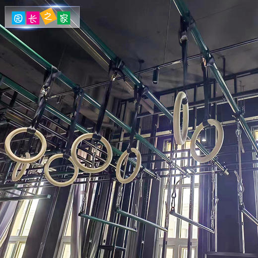 体能器材木制吊环 商品图2