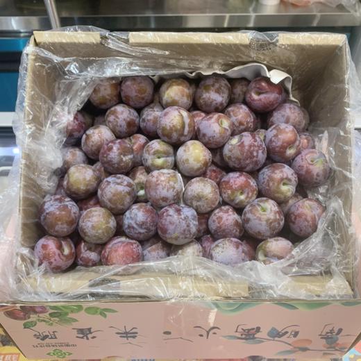 特大 朱雀清脆红李 商品图1