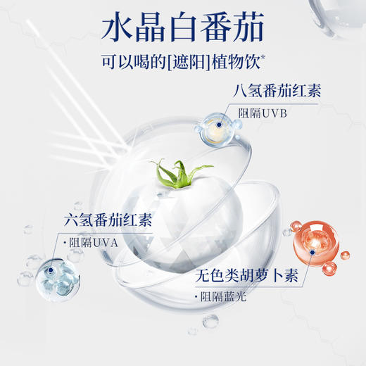 【838元12盒送幻彩随行袋】白番茄玫瑰三白饮 （净含量：210ml） 商品图3