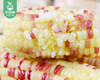 【叼鲜蔬】长泰新鲜彩糯玉米（带衣-去头尾）/1份（1.5kg±100g) 商品缩略图1