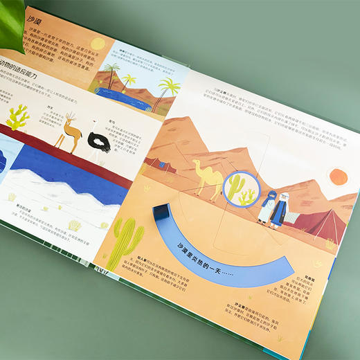 转转自然•科学探索 我们的世界 幼儿自然科学科普绘本，带你玩转世界五大栖息地 商品图3