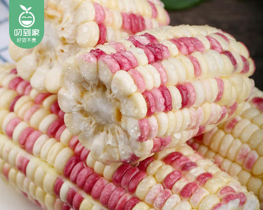 【叼鲜蔬】长泰新鲜彩糯玉米（带衣-去头尾）/1份（1.5kg±100g) 商品图4
