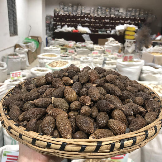 胖大海 商品图1