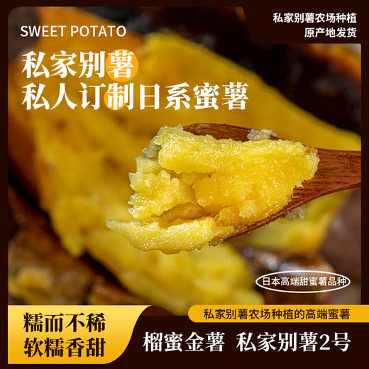 榴蜜金薯（适合烤食）【产地直发】@私家别薯 商品图0