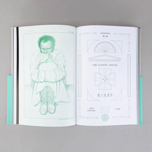 见证疯狂：精神病院的前世今生（英）迈克·杰伊 著 商品图4