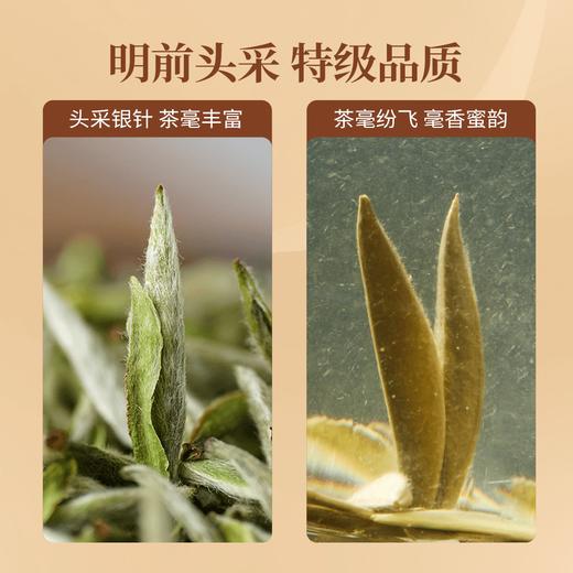 【年货礼盒】茶叶 白毫银针 白茶 2024年福鼎白茶 年货礼盒 年货礼盒 茶饮 五虎 1500g 商品图2