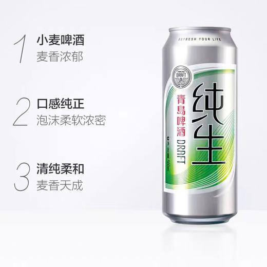 青岛纯生听装500ml*12 商品图1