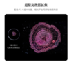 HUAWEI Pura 70 Pro+ 魅影黑 16GB+512GB 超高速风驰闪拍 超聚光微距长焦 双卫星通信 华为P70智能手机 商品缩略图5