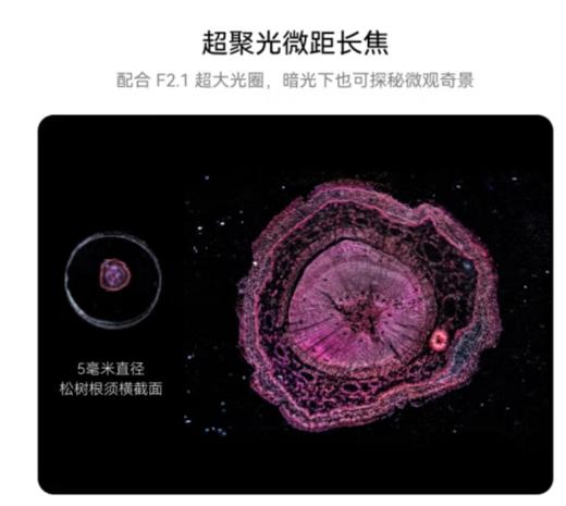 HUAWEI Pura 70 Pro+ 魅影黑 16GB+512GB 超高速风驰闪拍 超聚光微距长焦 双卫星通信 华为P70智能手机 商品图5