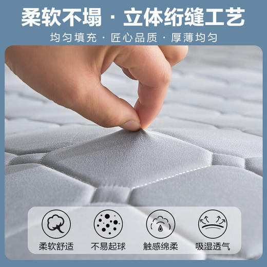 南极人冬夏两用凉席床垫子1.5x2米宿舍单人床褥垫被铺底薄款榻榻米褥子 双面床垫-水银灰 商品图1