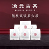 样品茶6款（随机） 商品缩略图0
