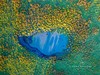 【纵情内蒙古】呼伦贝尔+阿尔山秘境8天摄影 | 来自天上的大草原 才是你梦中的那片海 商品缩略图0