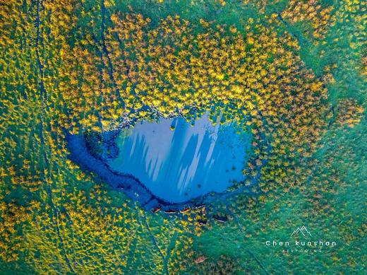 【纵情内蒙古】呼伦贝尔+阿尔山秘境8天摄影 | 来自天上的大草原 才是你梦中的那片海 商品图0