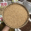 浮小麦 常用规格 小麦米 商品缩略图0