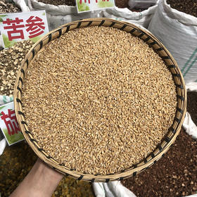 浮小麦 常用规格 小麦米