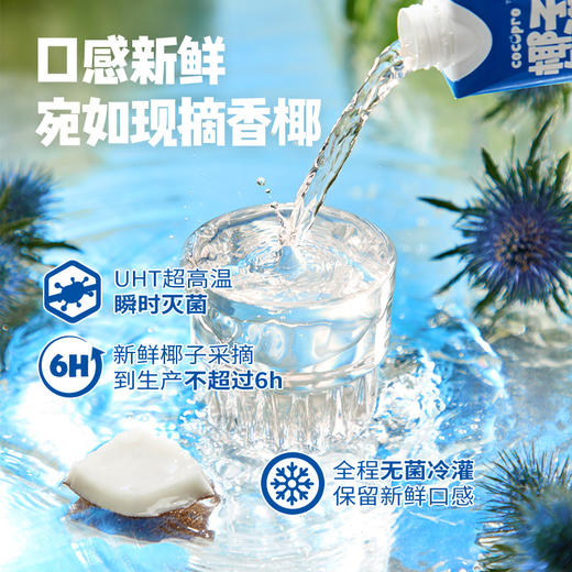  椰子知道100%NFC椰子水330ml/瓶 商品图2